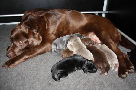 Wir haben Nachwuchs !!!