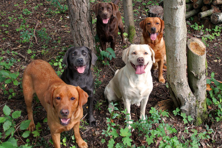 Wann gehts denn hier mal weiter???