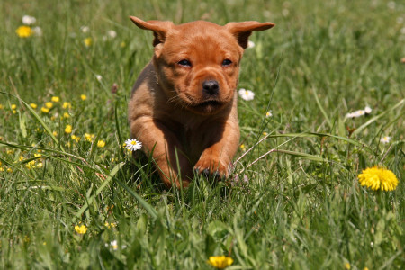 Ab in den Frühling!