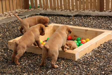 Das Bällebad ist eröffnet !!!