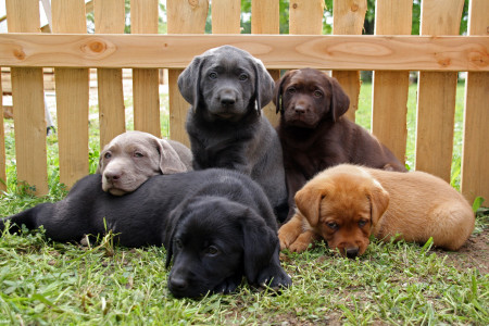 Wir wären dann soweit!