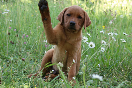 Sei gegrüßt und lebe wohl, Pia!