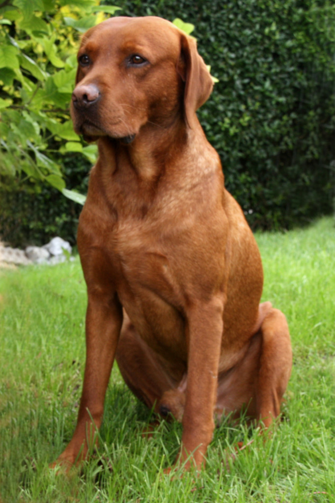 Jack