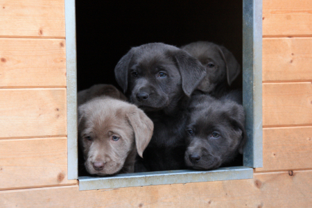 Hey Jungs und Mädels!