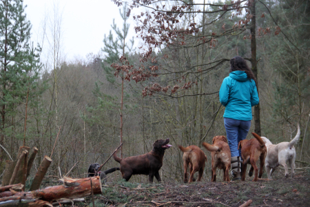 Winterspaziergang in Grau