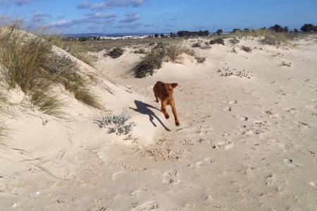 Herzlichen Glückwunsch an Franzi von den...