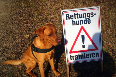 Flash von den drei Linden