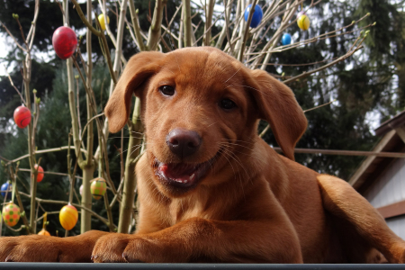 Frohe und sonnige Feiertage