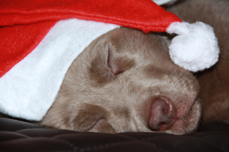 Und wenn das fünfte Kerzlein brennt,…