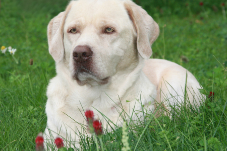 Ein Bild aus entspannteren Tagen, denn…