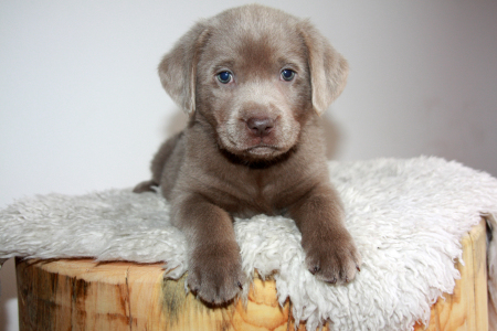 Berlin, Köln, Villach, Leipzig, Bamberg,...