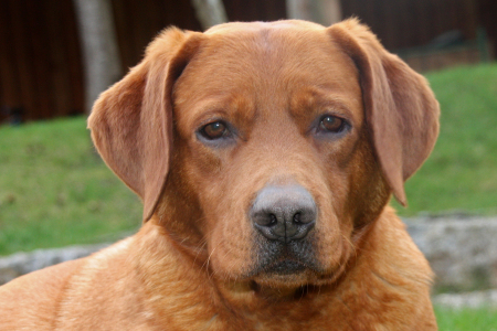 Lilly – die Zarte …