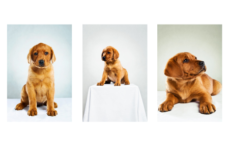 Be my Red Hot Chili von den drei Linden