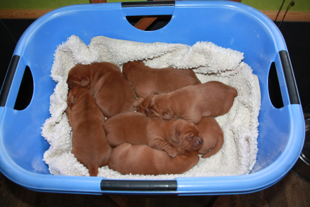 Die sieben Zwerge hinter den sieben Bergen…