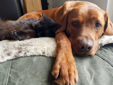 Eddie und Calli