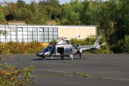 Welpenbesucher aus der Luft
