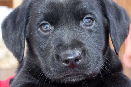 Paula hat liebevolle Menschen gefunden…